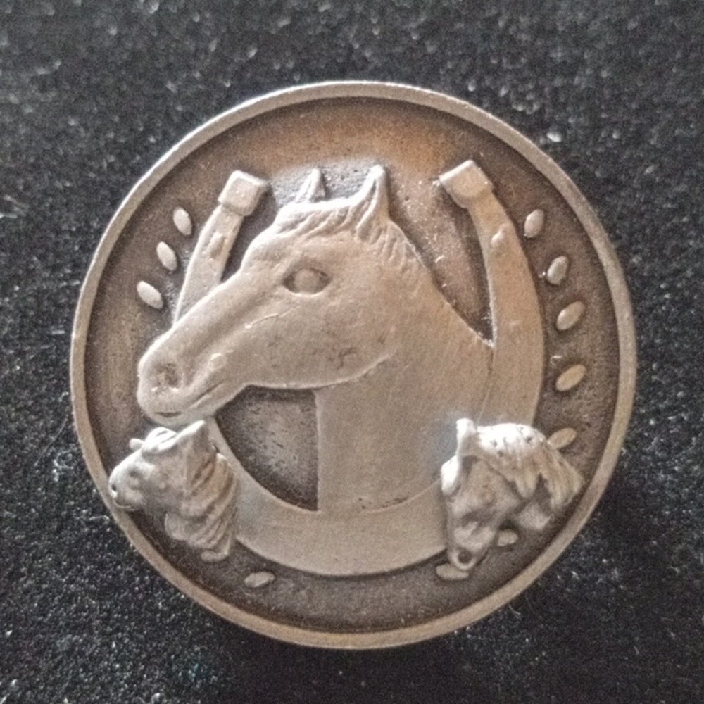 Bronze Colored Horse and Horseshoe Pin With Earrings - Picture 2 of 4